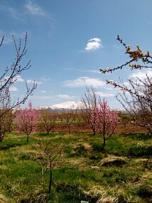 بهار در سربیژن