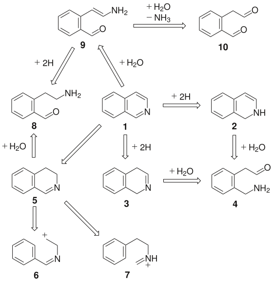 异喹啉的逆合成分析