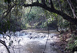 De rivier de Ribeirão Feijão in de gemeente Itirapina
