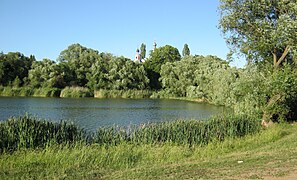 Teich am Südrand der Siedlung