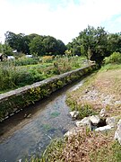 Le Bruant à Saint-Porchaire.