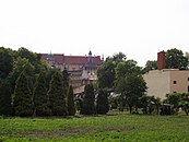 Ogród Księży Misjonarzy w kwartale między ulicami Stradomską, św. Gertrudy, św. Sebastiana i J. Dietla. W tle widoczny Wawel.