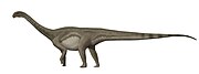 Patagosaurus life restoration