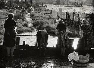 Lavage du linge à Bizovik (en), en 1958 ou 1959Photo de Žaro Tušar