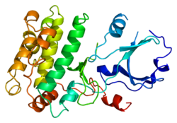 Белок CAMK1 PDB 1a06.png