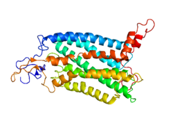 Protein CCR2 PDB 1KAD.png