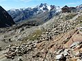 Schaftrieb am Hochjoch (Schöne-Aussicht-Hütte)