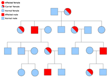 An example pedigree chart of a sex-linked disorder (the gene is on the X chromosome). Sex linked inheritance.png