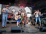 Miniatura per Steve 'n' Seagulls