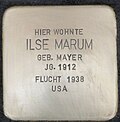 Stolperstein für Ilse Marum (Neumarkt 41)