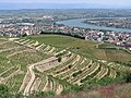 Tain-l'Hermitage et ses vignobles, Drôme, France.