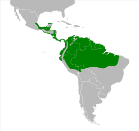 Distribución geográfica de la tangara azuleja.