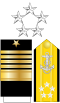 US Navy O11 insignia.svg