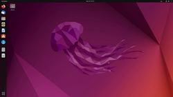 Ubuntu, une distribution GNU/Linux.