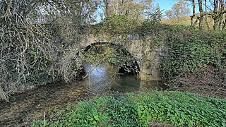 La larine au pont de Villers-Farlay.