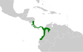 Distribución geográfica del trepatroncos pinto.