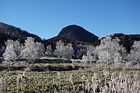 田ノ原湿原からの笠ヶ岳