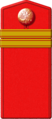 Погон младшего унтер-офицера РИА (до 1917)