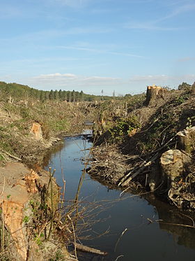 Image illustrative de l'article Barrage de Sivens