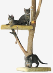 Кошачье дерево-когтеточка с сидящими на ней тремя кошками