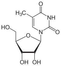 Skeletal formula of 5-methyluridine