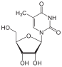 Chemical structure of 5-methyluridine