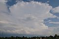 (Cumulonimbus incus)