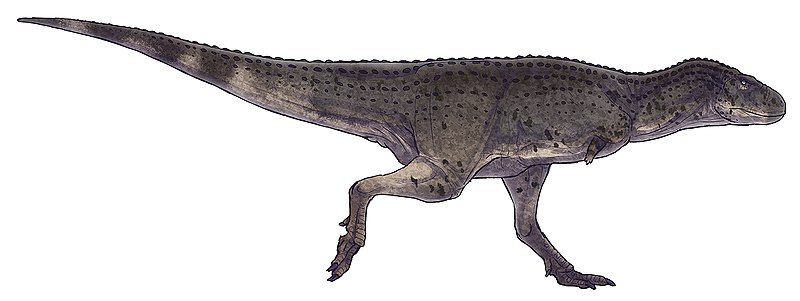 پرونده:Aucasaurus garridoi by Paleocolour.jpg