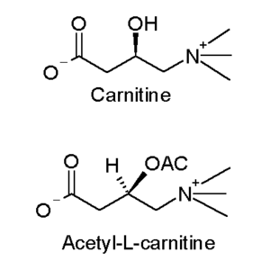 Carnitine and acetyl-L-carnitine