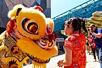 Vignette pour Nouvel An chinois