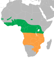 Mapa występowania