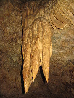 Cseppkő a Pisznice-barlangban
