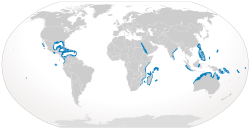 Cypron-intervala Carcharhinus albimarginatus.svg