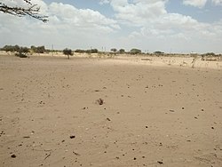 Village in the Thar Desert, Barmer