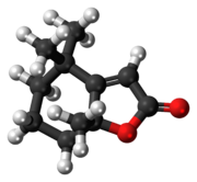 Ball-and-stick model of the dihydroactinidiolide molecule