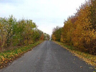 Дорога из Бакумовки в Беляки