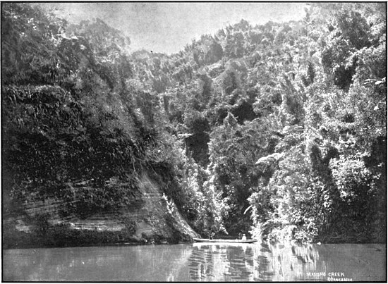 Two people on a boat against an exposed cliff and bush-covered slope