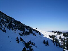 La Piste Violette