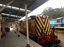 Former TGR diesel Locomotive Y6 at Don River Railway.JPG