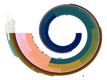 The geologic time scale represented as a log-spiral