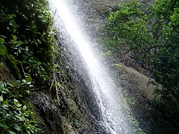 Vattenfall i naturreservatet Chocoyero