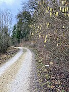 Hochberg (2022), Aufstieg über den Hochbergweg