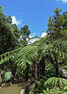 Hot springs, Azores Hot springs - Azores.jpg