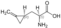 Hypoglycin