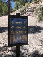 Indian Gardens Paleo Site with Species Identification Sign.