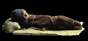 The infant mummy (Tomb A-2), probably the son of the Cherchen Man.[8]