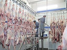 slaughterhouses machinery