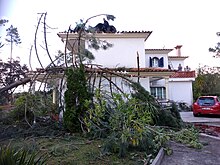 Color photograph of tree debris resting upon the roof of a residence
