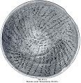 c. 5th-7th century, incantation bowl, 19x7.5 cm, 44 lines in cursive Mandaic script in 3 blocks at different angles radiating from the centre