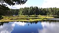 Die schwimmenden Inseln im See Mustalampi